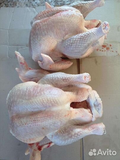 Домашнее мясо