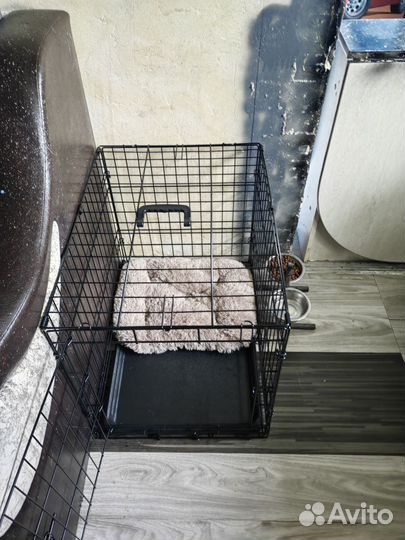 Клетка для собак