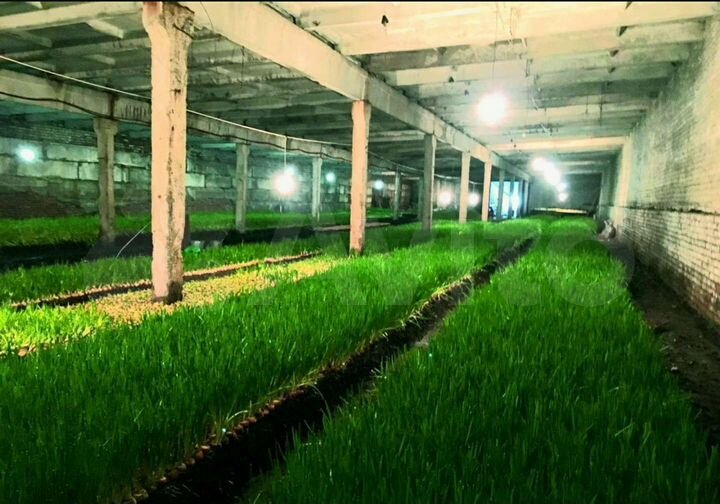 Здание 1250 кв.м. и 3,5 Га, под сельское хозяйство