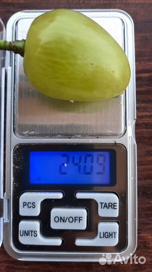 Саженцы винограда