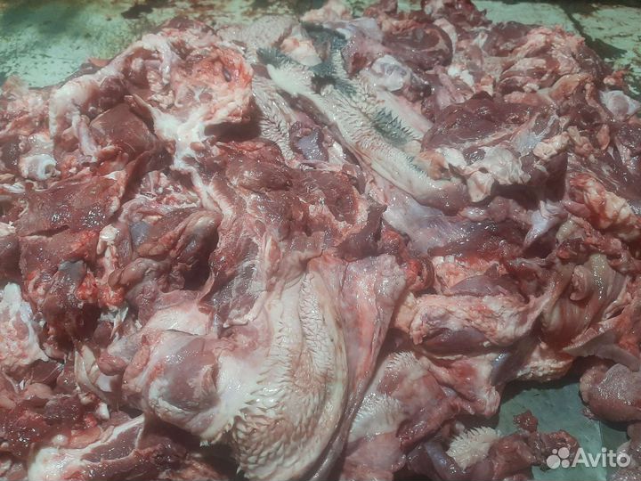 Мясо обрези для собак