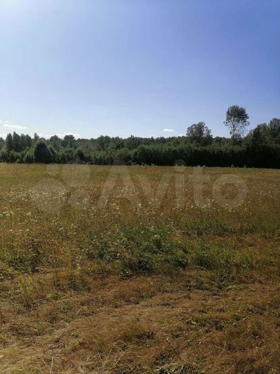 Участок 20 сот. (ИЖС)