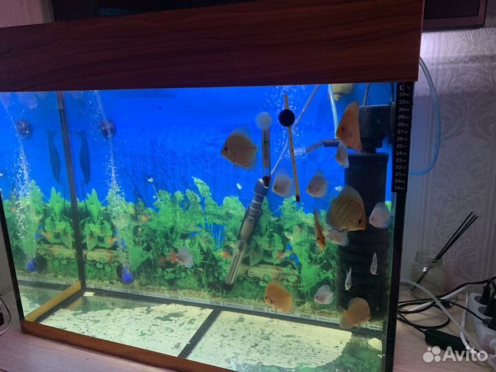 Аквариум 105 литров