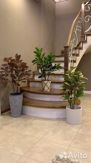 Кротон искусственный