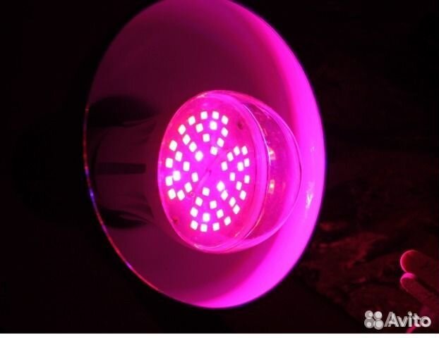 Фитолампы для растений Uniel