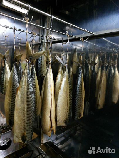 Коптильни загрузкой от 5 до 20 кг 1