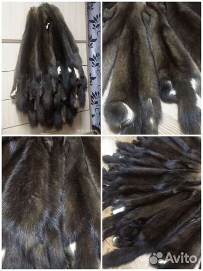 Шкурки соболя