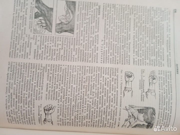 Старинные ветеринарные Книги