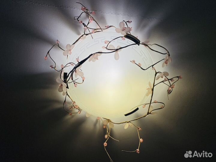 Декоративные цветы