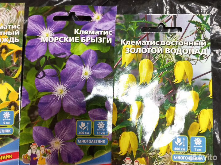 Семена клематиса