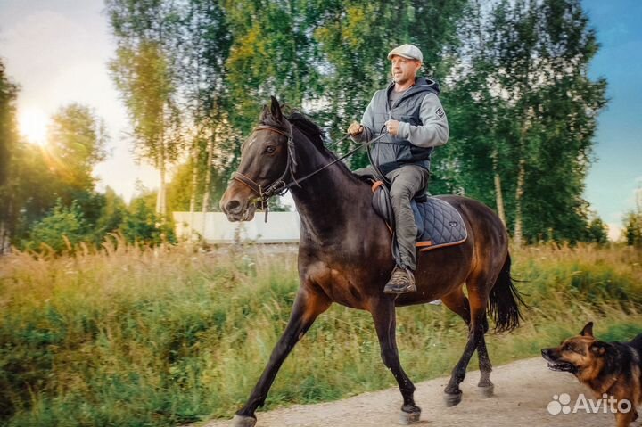 Конные прогулки. Индивидуальные занятия