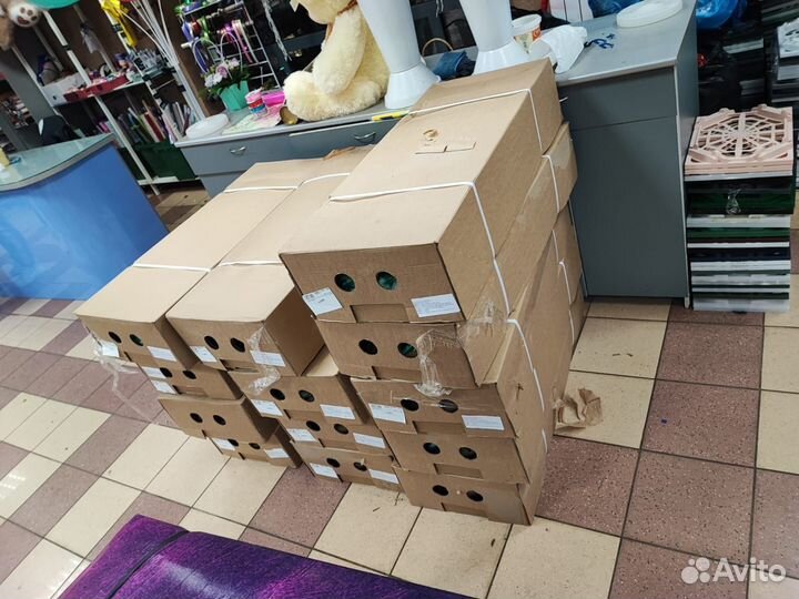Тюльпаны опт розница доставка розы
