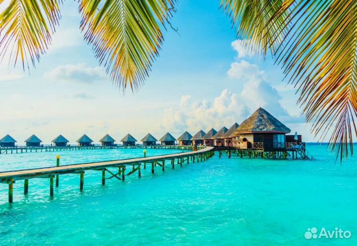 Тур путевка остров Мальдивы о. 3-х *