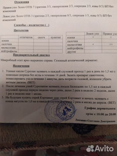 Бывшедомашний пёс Гром грустит в приюте