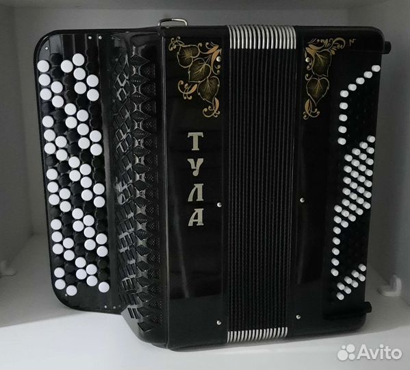 Баян тула 209