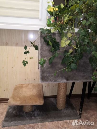 Домик для кошки бу