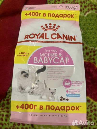 Корм для кошек роял канин