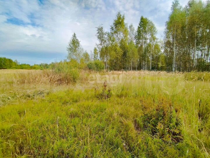 Участок 12 сот. (ИЖС)