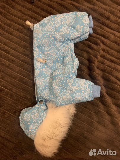 Комбинезон для маленькой собаки