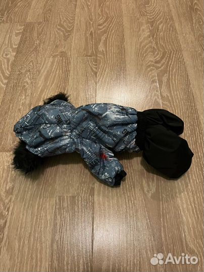 Одежда для собак