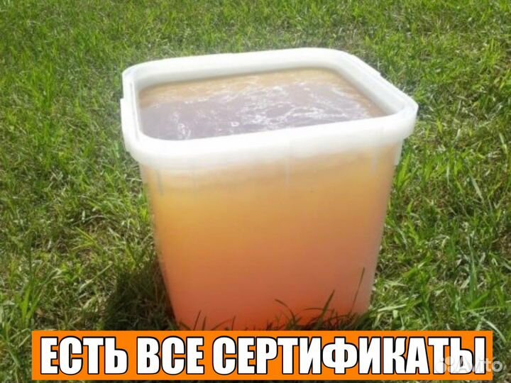 Мёд Алтайское Разнотравье(оптом)