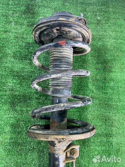 Амортизатор передний левый Hyundai Santa Fe 1 Clas