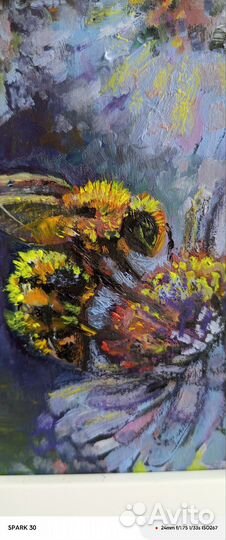 Картины маслом на картоне. Миниатюры