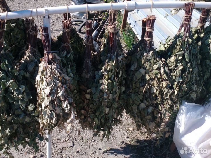 Веники для бани