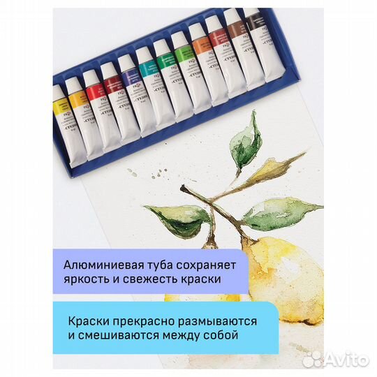 Акварель художественная Гамма 