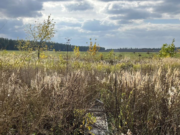 Участок 8 сот. (ИЖС)