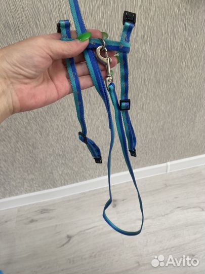 Поводок для собак