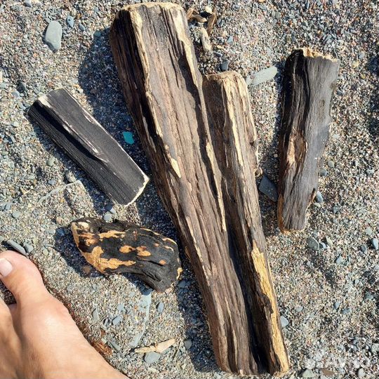 Наборы коряг, чёрный дрифтвуд. Под заказ