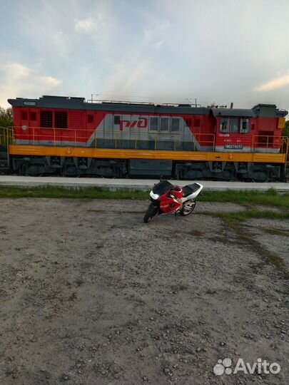 Yamaha yzf1000r thunderace