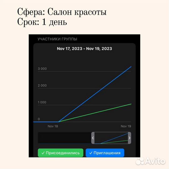 Продвижение телеграмм, опытный таргетолог