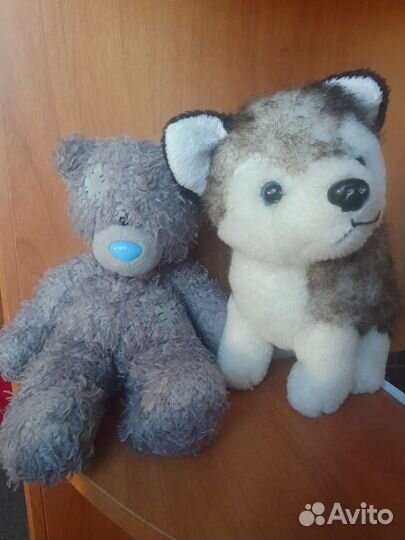 Мишка Тедди и собака хаски