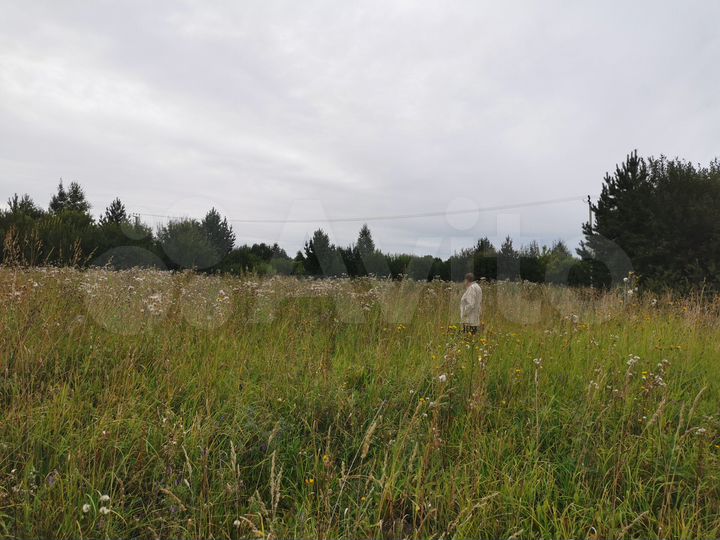 Участок 15 сот. (СНТ, ДНП)