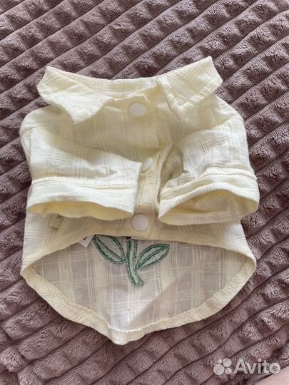 Одежда для маленьких собак и кошек