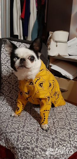 Одежда новая для маленьких кошек/собак