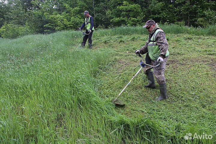 Скос Покос травы