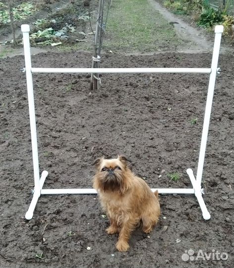 Барьер для аджилити (спорта с собакой)