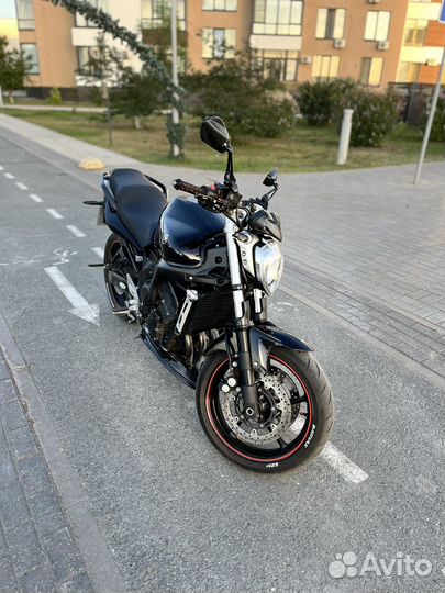 Yamaha fz6n