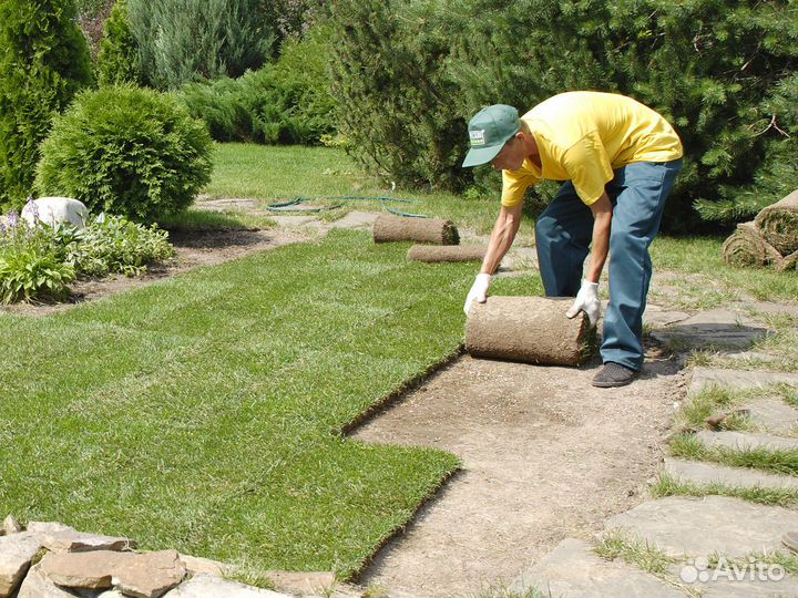 Рулонный газон с доставкой