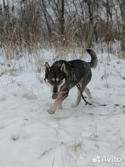 Борька - храбрый воин из приюта