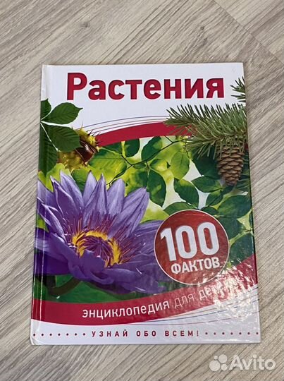 Энциклопедия для детей