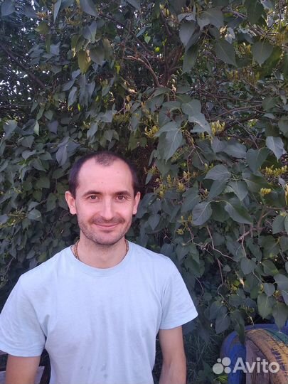 Репетитор по информатике огэ егэ