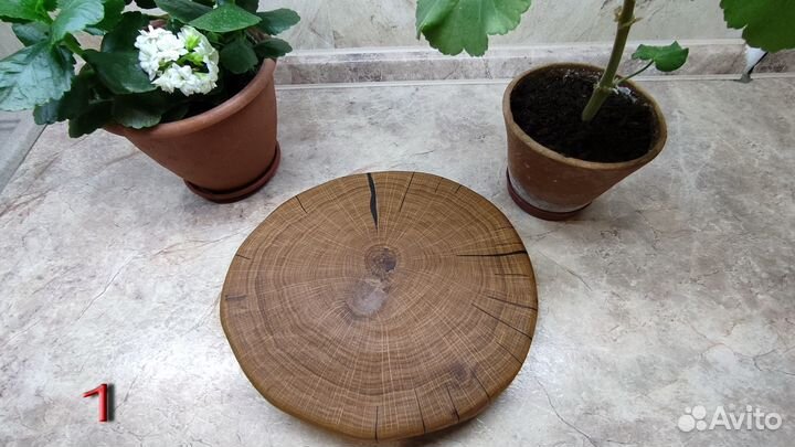 Спилы из дуба