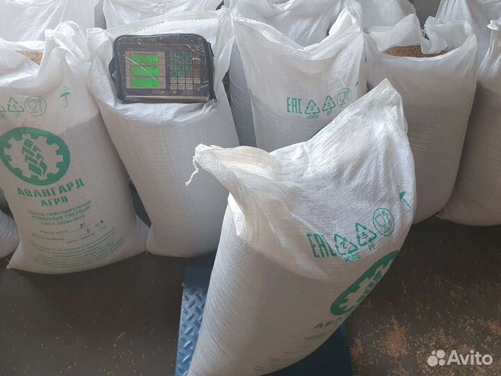 Пшеница озимая