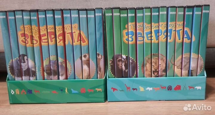 Твои весёлые друзья зверята