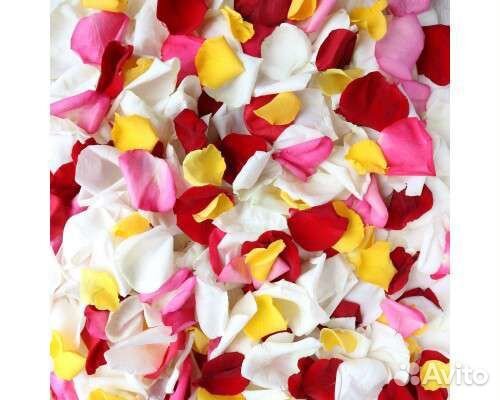 Лепестки роз