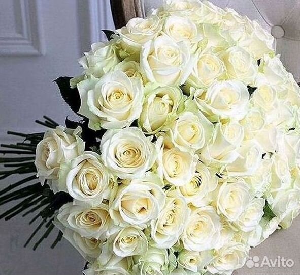 Розы Цветы Букеты 25 151 201 101 301 501 опт